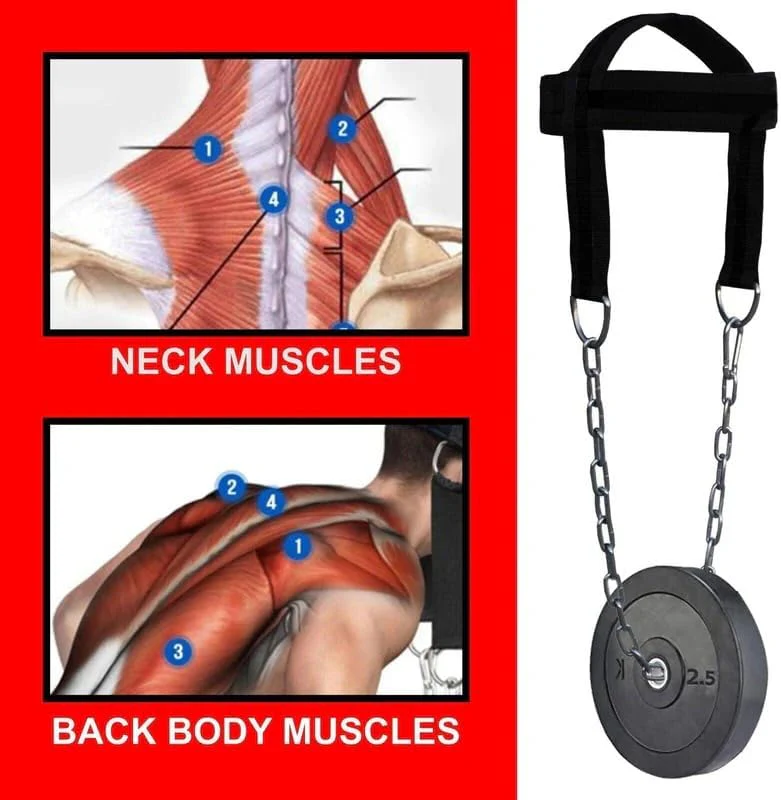 حزام تقوية عضلات الرقبة مع سلسلة حديد – Neck Training Harness لتمارين العنق والكتف – قابل للتعديل – مناسب كمال الأجسام والمصارعة والرياضات القتالية - Image 3