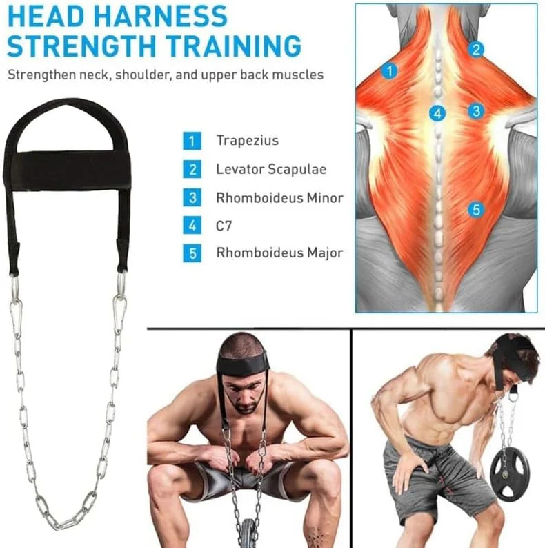 حزام تقوية عضلات الرقبة مع سلسلة حديد – Neck Training Harness لتمارين العنق والكتف – قابل للتعديل – مناسب كمال الأجسام والمصارعة والرياضات القتالية - Image 7