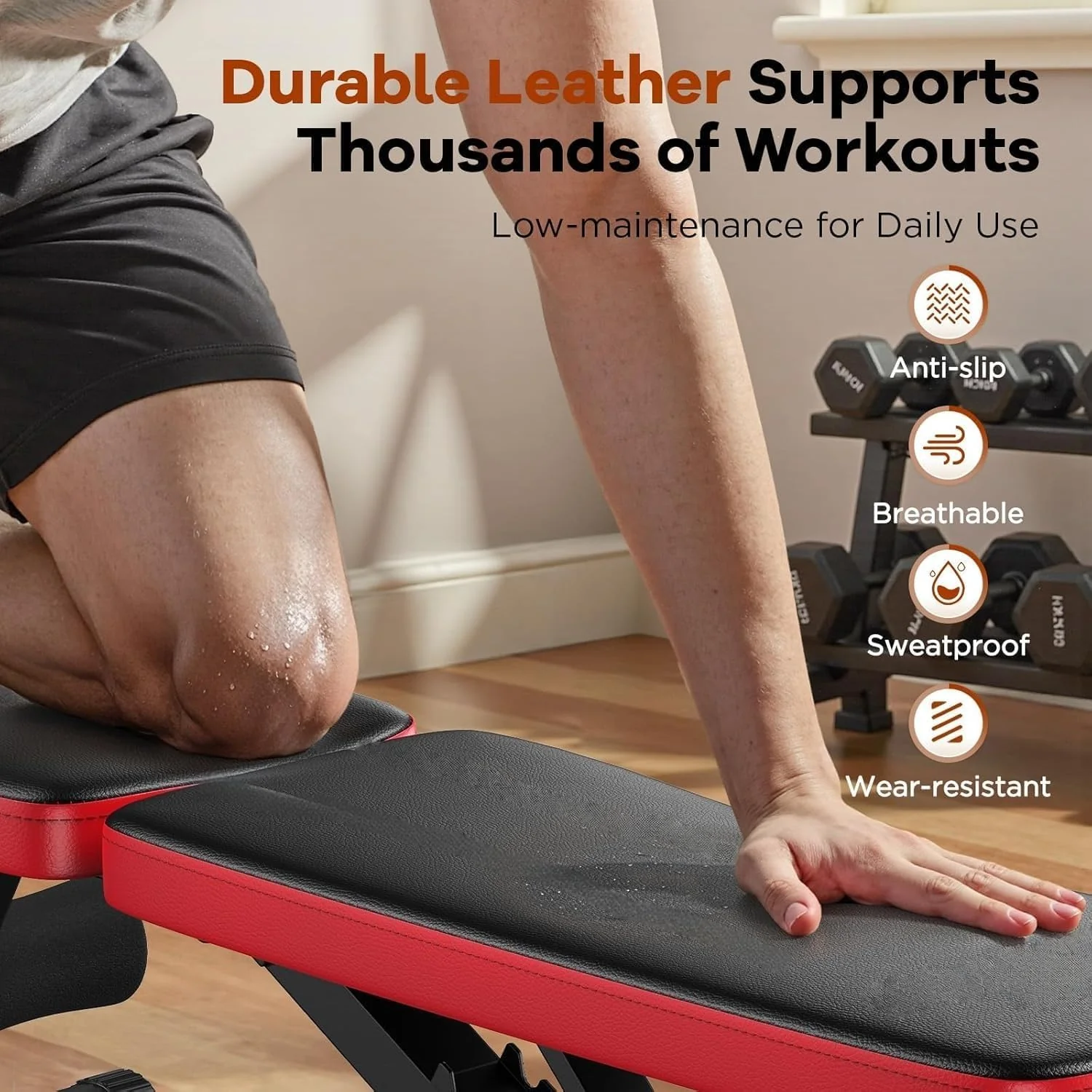 SportQ Adjustable Weight Bench Foldable Exercise Bench 250kg Large Capacity Elastic Ropes for Home Gym Strength Training Full Body Fitness Sit Up Flat Incline - Image 8