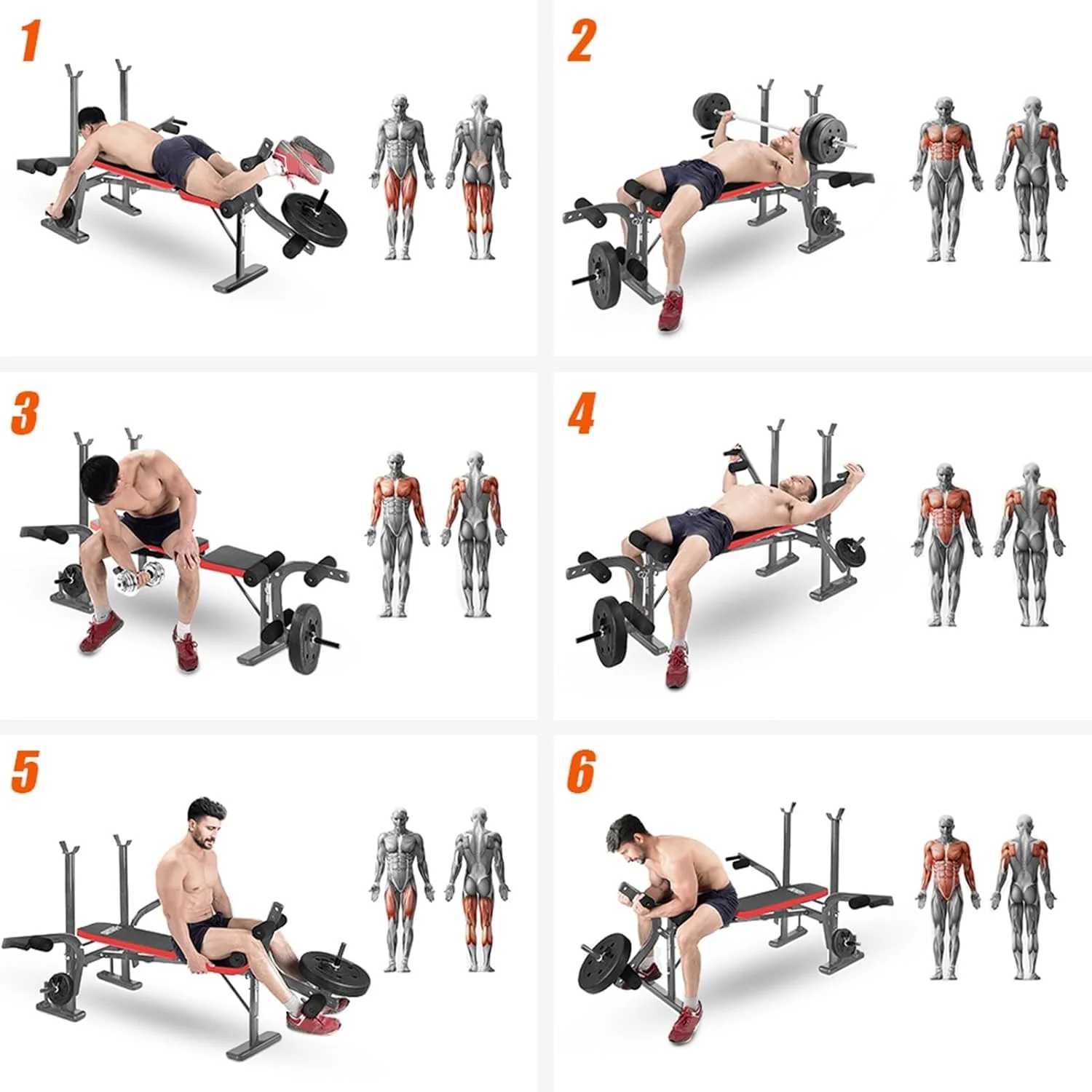 Multifunctional Weight Bench & Bench for Workout – Adjustable Exercise Bench for Home Gym, Chest Shoulder Legs Bodybuilding Workout (Without Barbell & Barbell) - Image 5